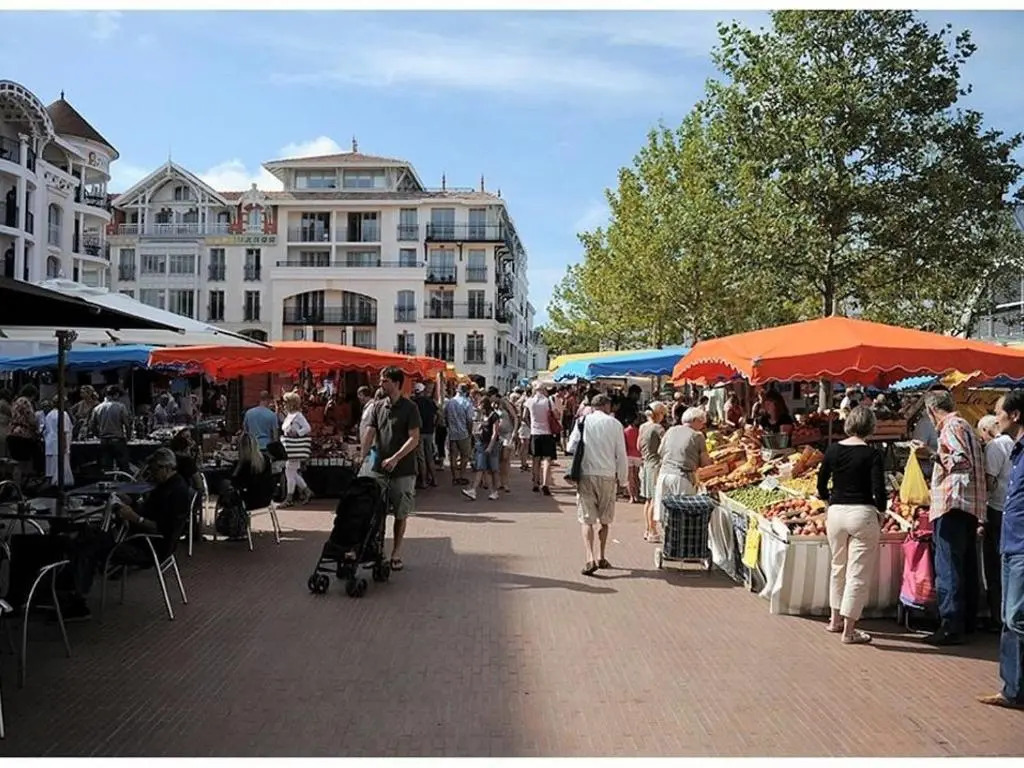 Appartement Arcachon, 2 pièces, 4 personnes - FR-1-420-91