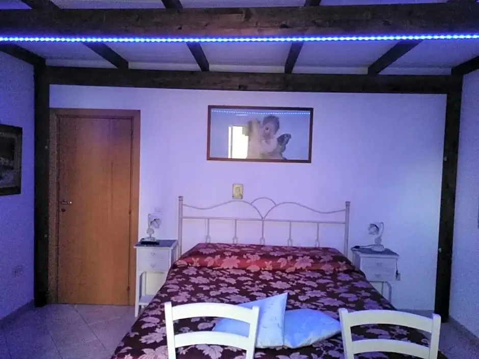My House