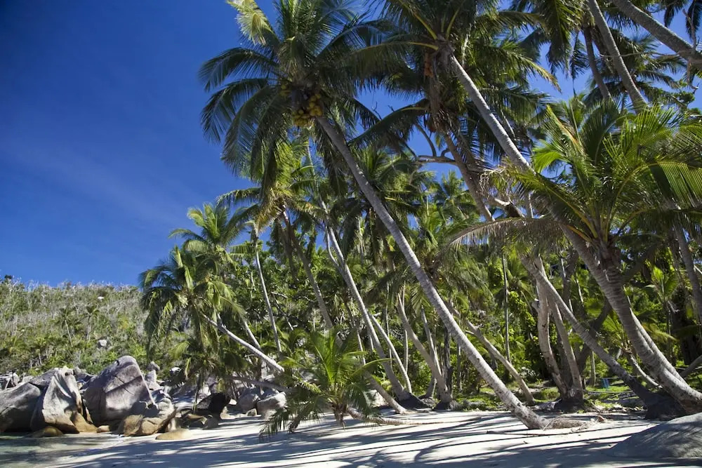 Bedarra Beach House
