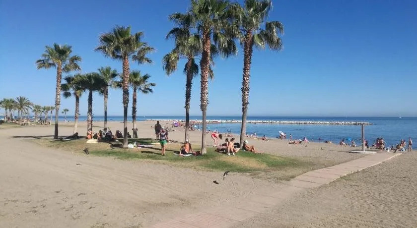 Terraza del Limonar
