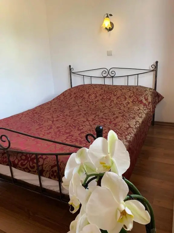 Villa Remedios