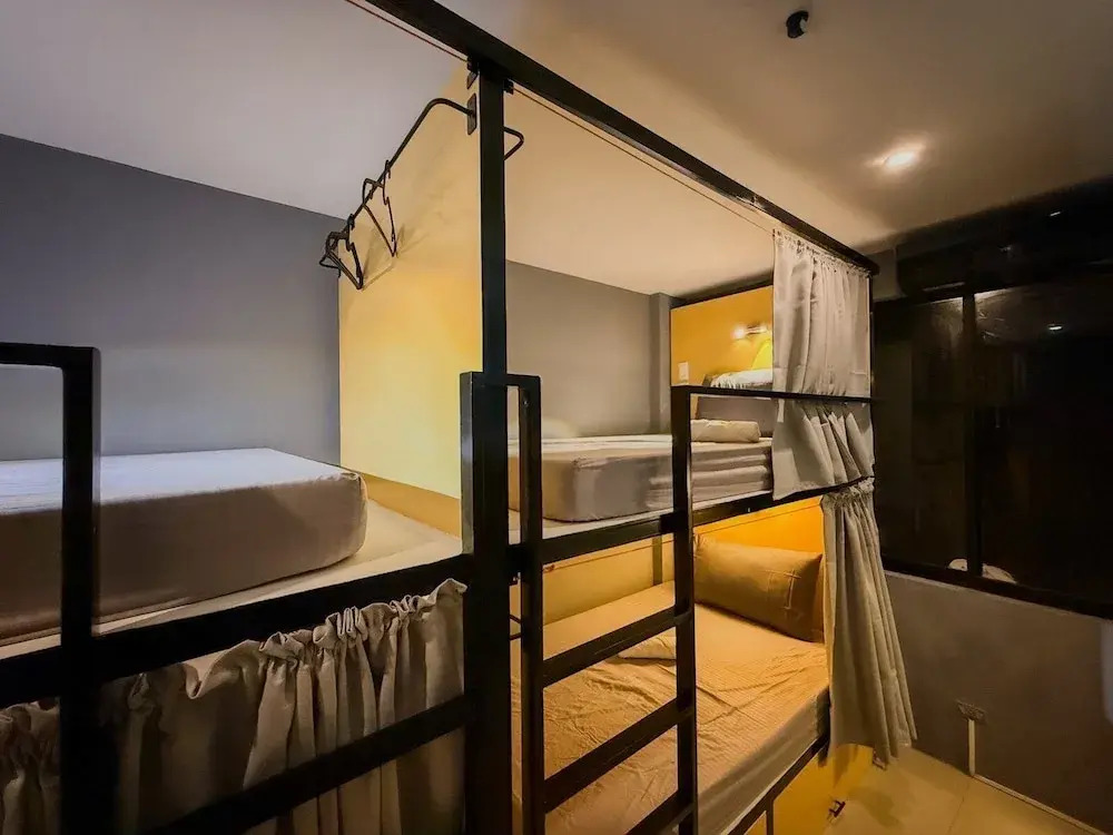 Goofy Ants Hostel