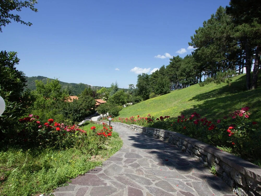 Beautiful Home With Terrace, Located in Nature