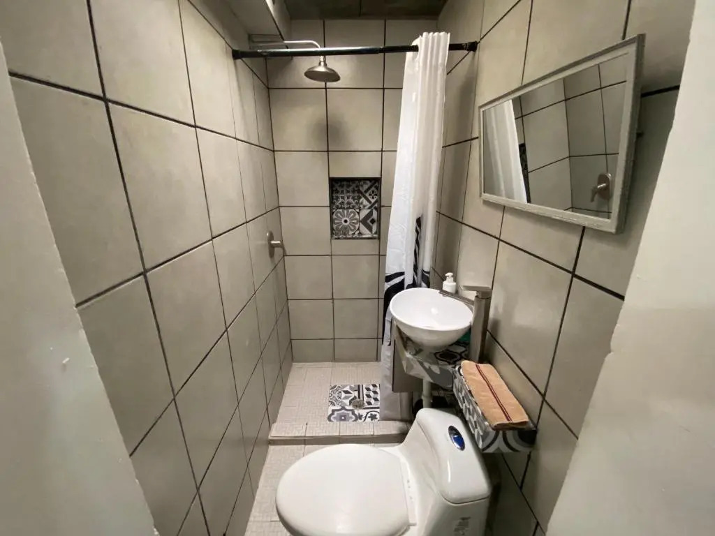 Zebra Studio