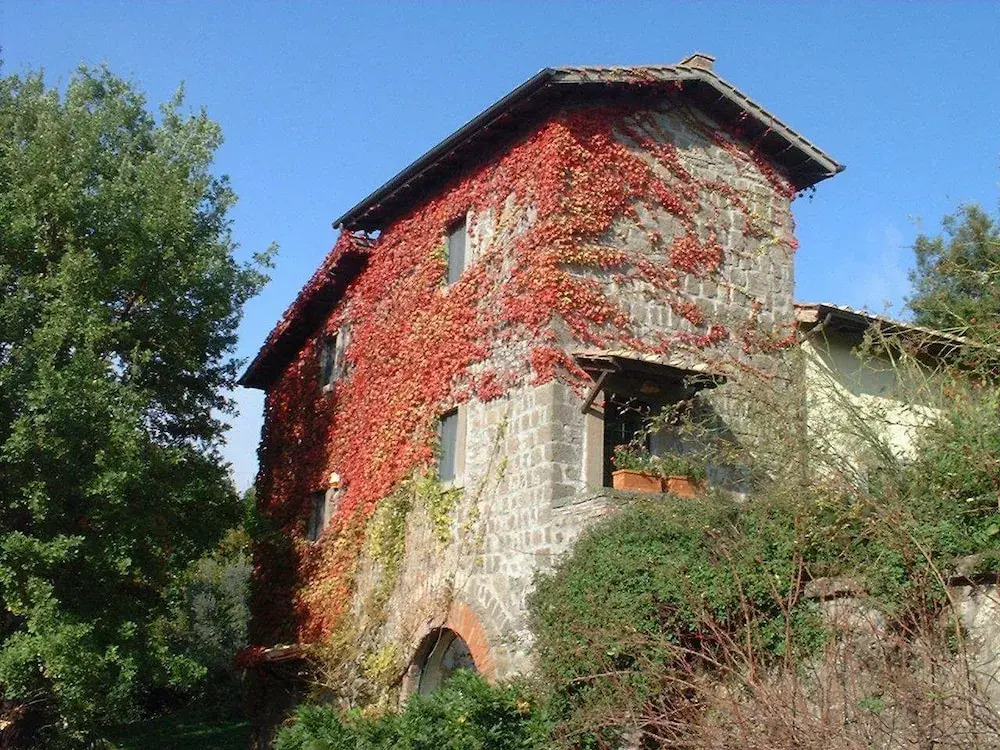 B&B Il Gelso Bianco