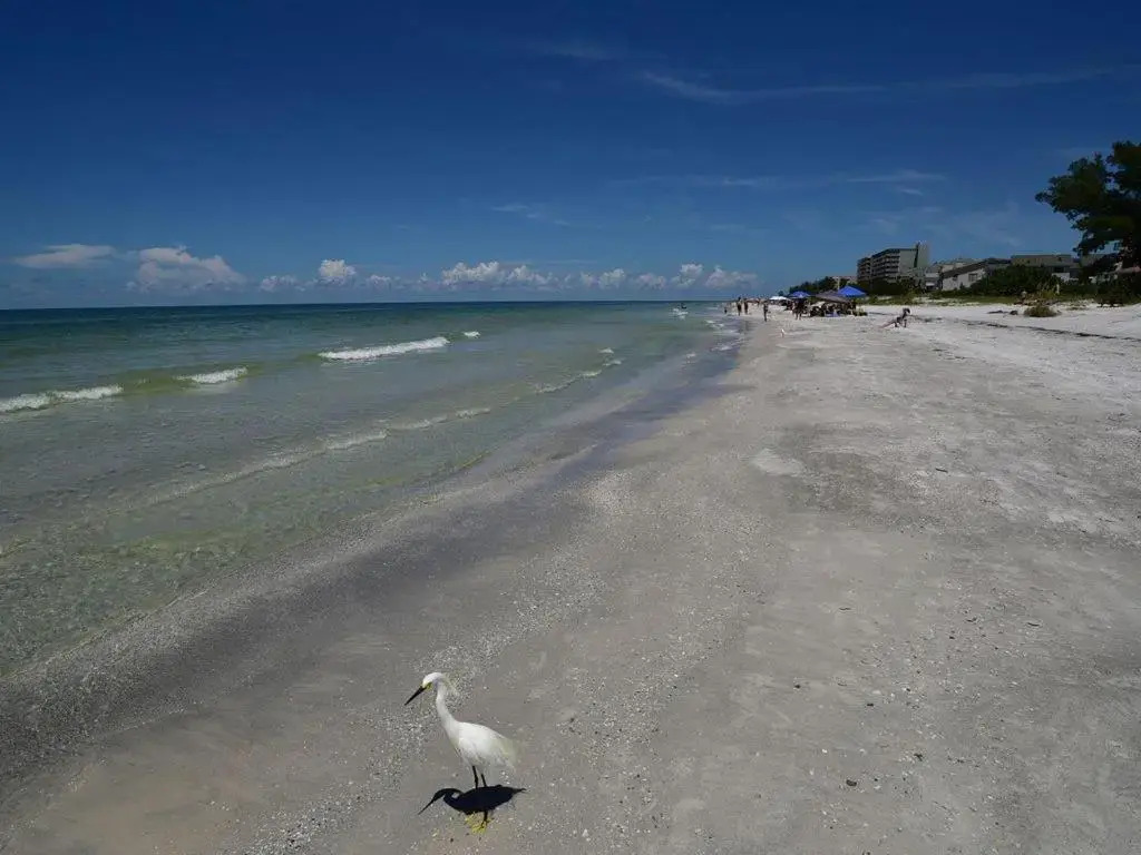 Gulf Retreat 2: Magnificent Water Views, Steps to Beach, None Cleaner, None Nicer!