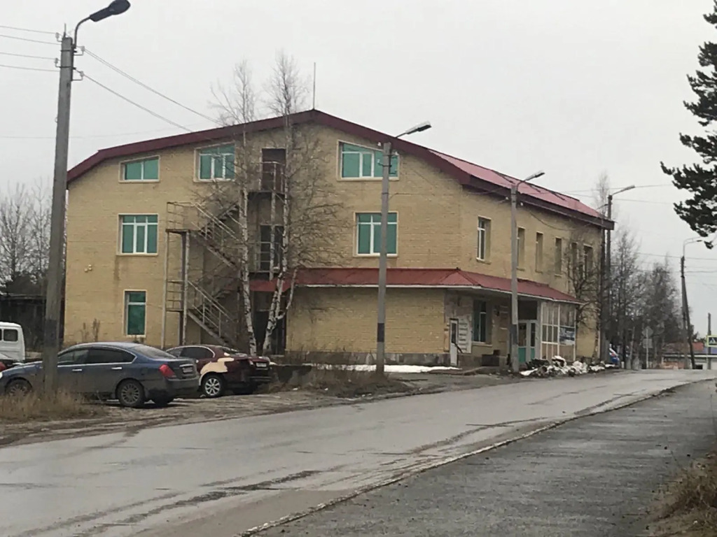 Белая медведица