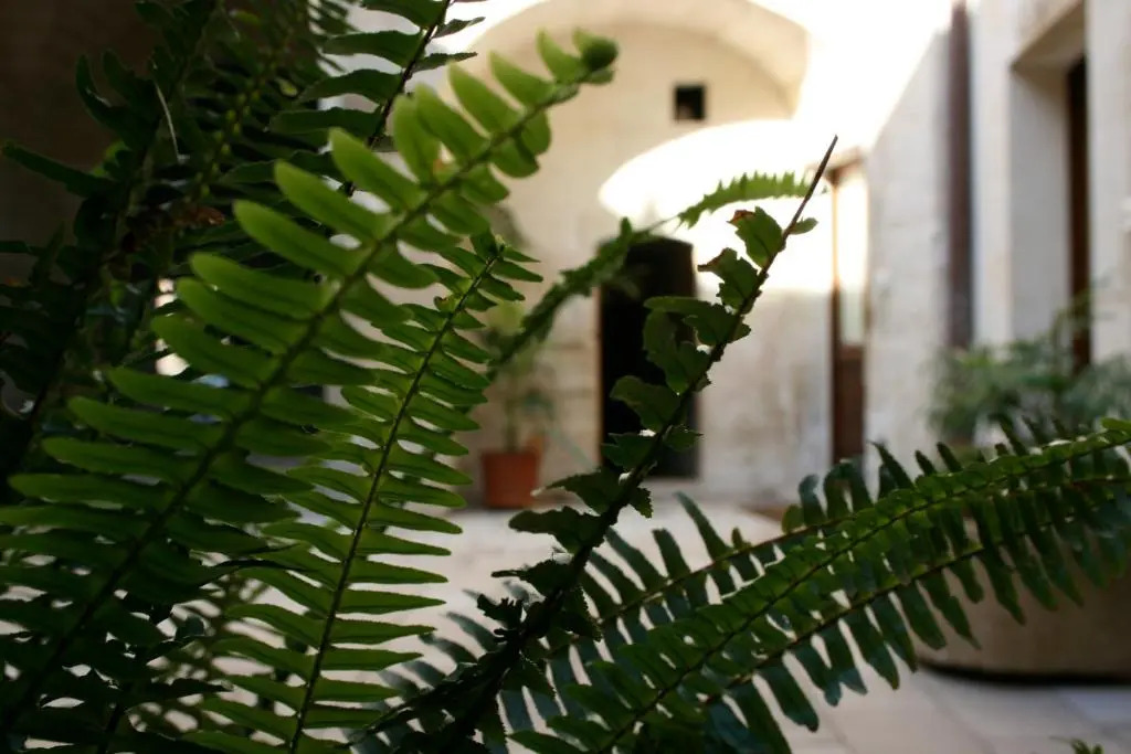 Leccelso Bed And Breakfast