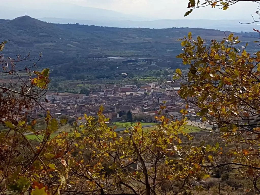 Il Vicoletto