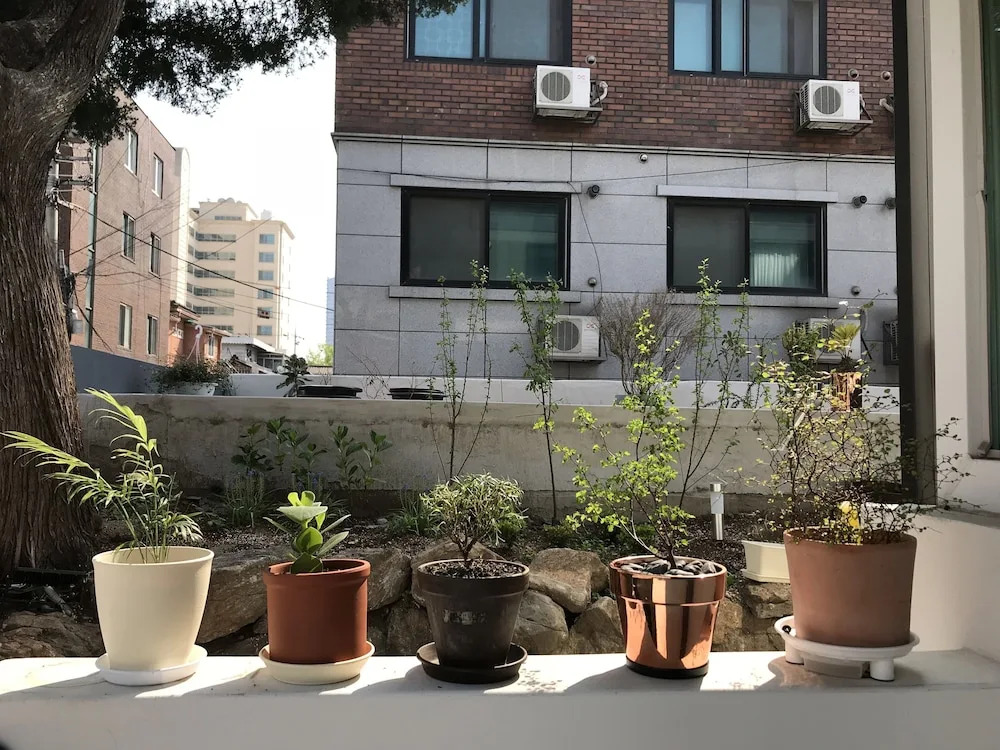 Comet Guesthouse - Hostel