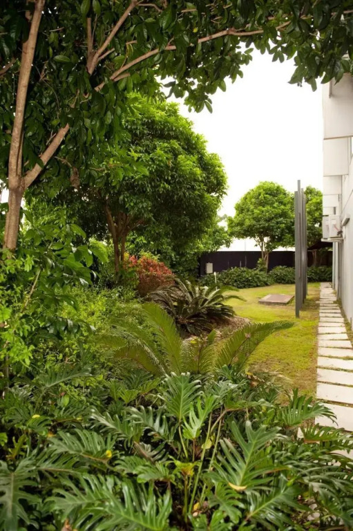 Rocklea International Motel