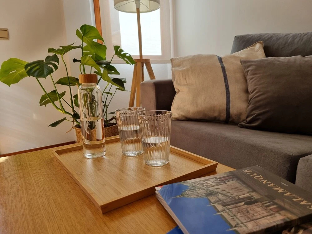 Salamanca Rentals - 2Bedroom Apartment