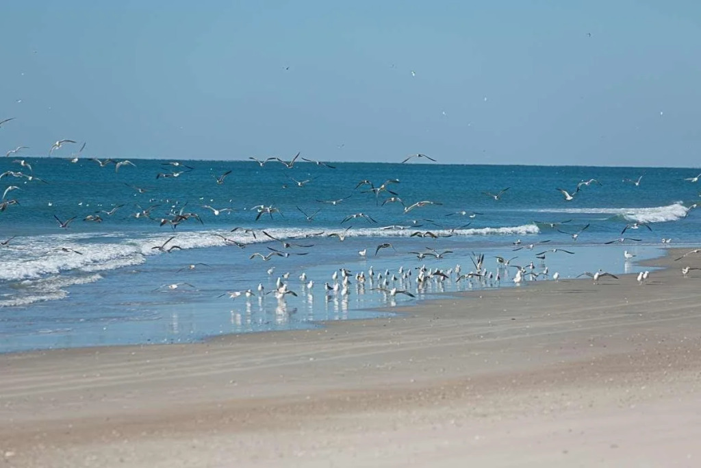 Atlantic Beach Resort