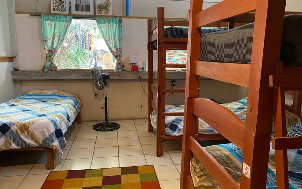 The Octopuss Garden Hostel