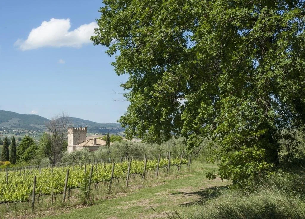 Fonte Sala