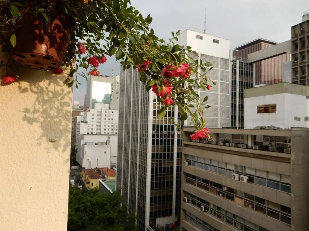 Apartamento Haddock Lobo