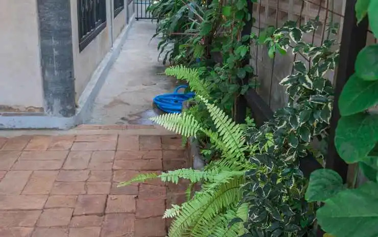 Punjum2 House