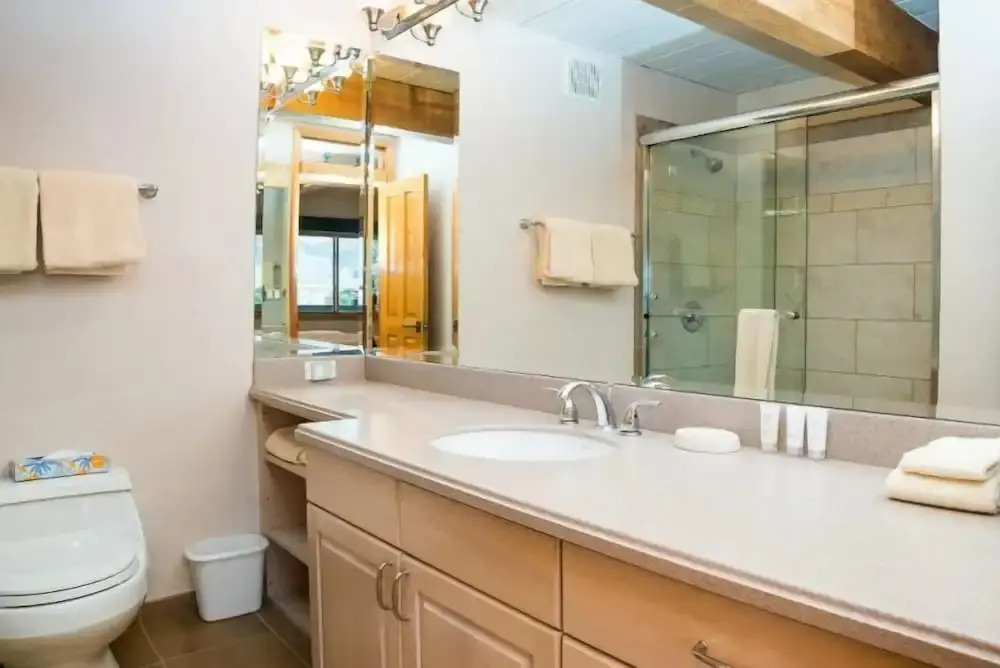 Aspen 3 Bedroom Condo at the Base of Aspen Mountain, Next to Lift 1A