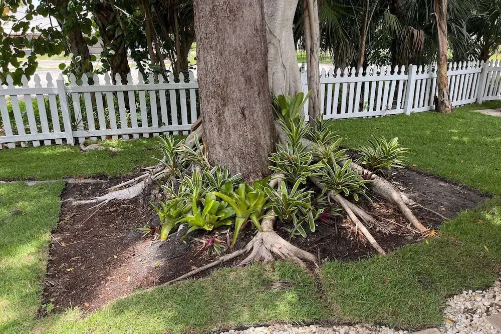 Seagrass Cottage