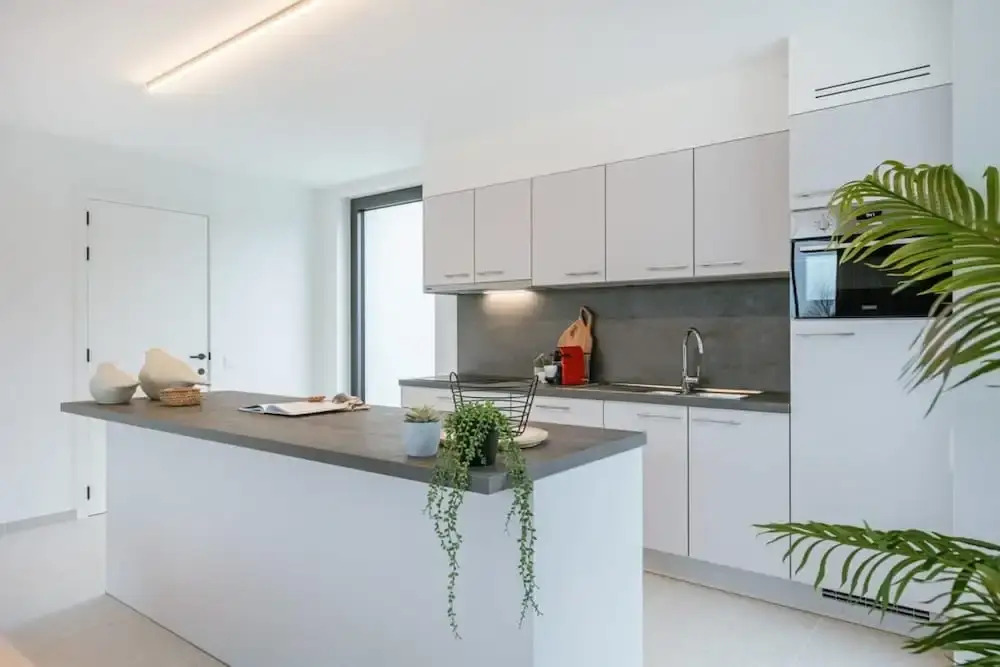 Apartment With two Large Terraces