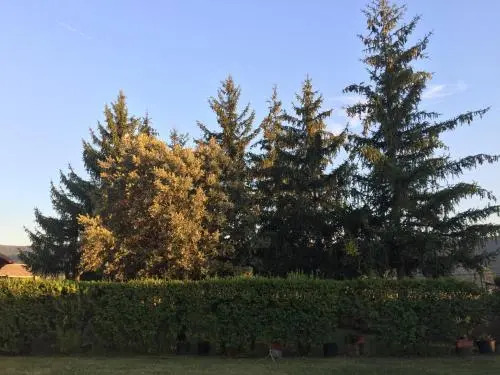 Casa Campo