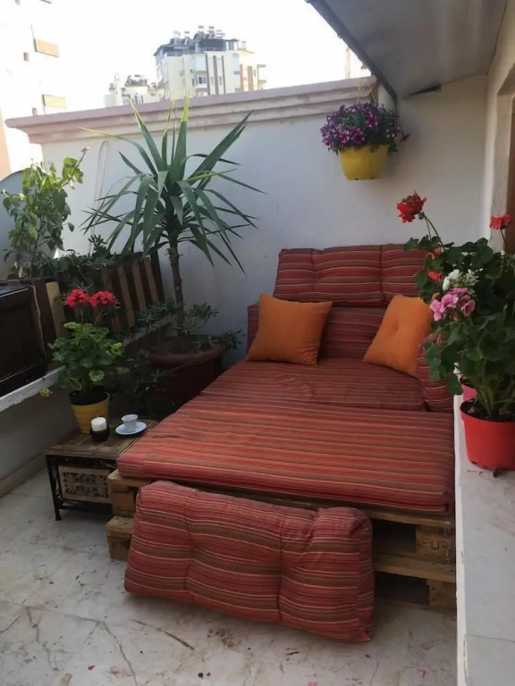 Orange Garden