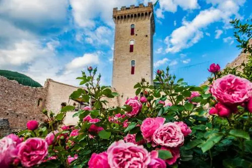 Lo Rocca Dei Trinci
