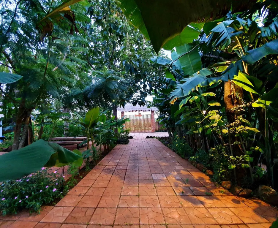 Homestay Bien Ho