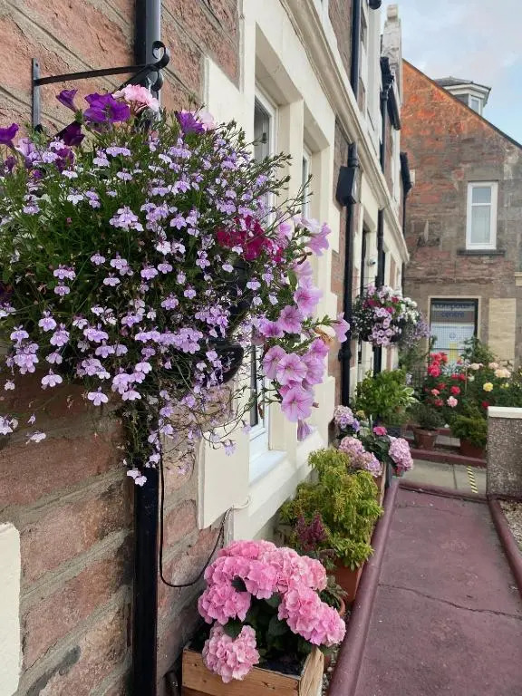 No 29 Bed and Breakfast