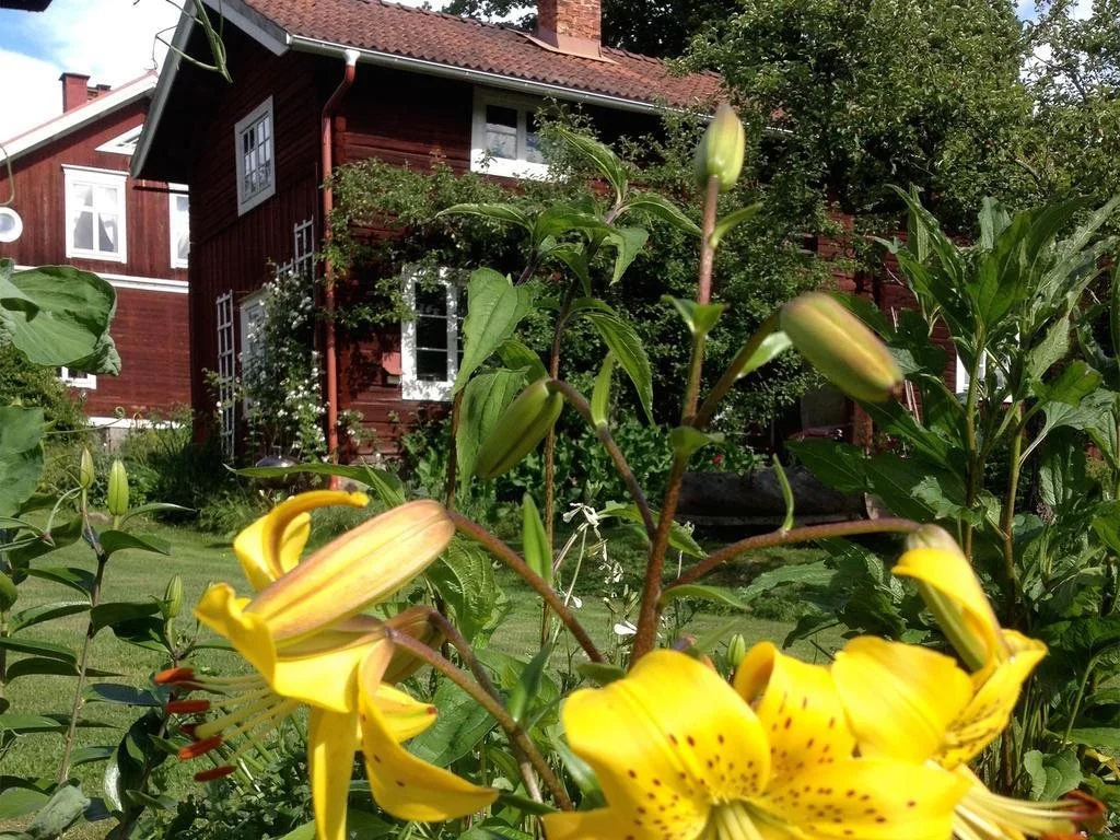 Wiborggården