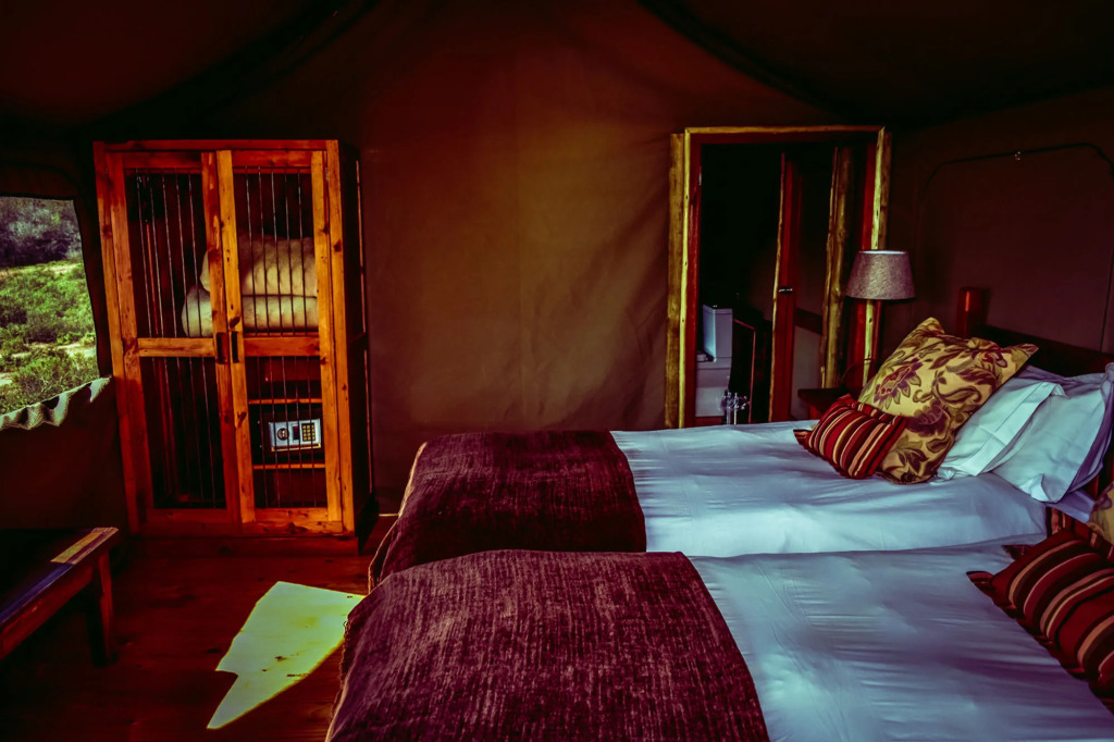 Buffelsdrift Game Lodge