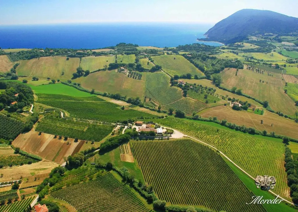 Agriturismo Le Vigne del Conero