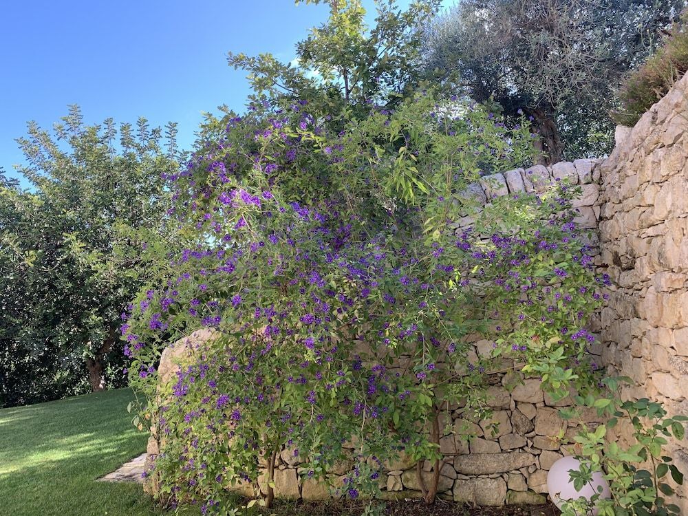 Villa Santa Margherita