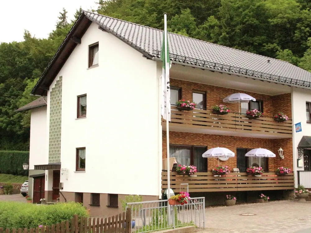 Pleasing Apartment in Dreislar Near Ski Area