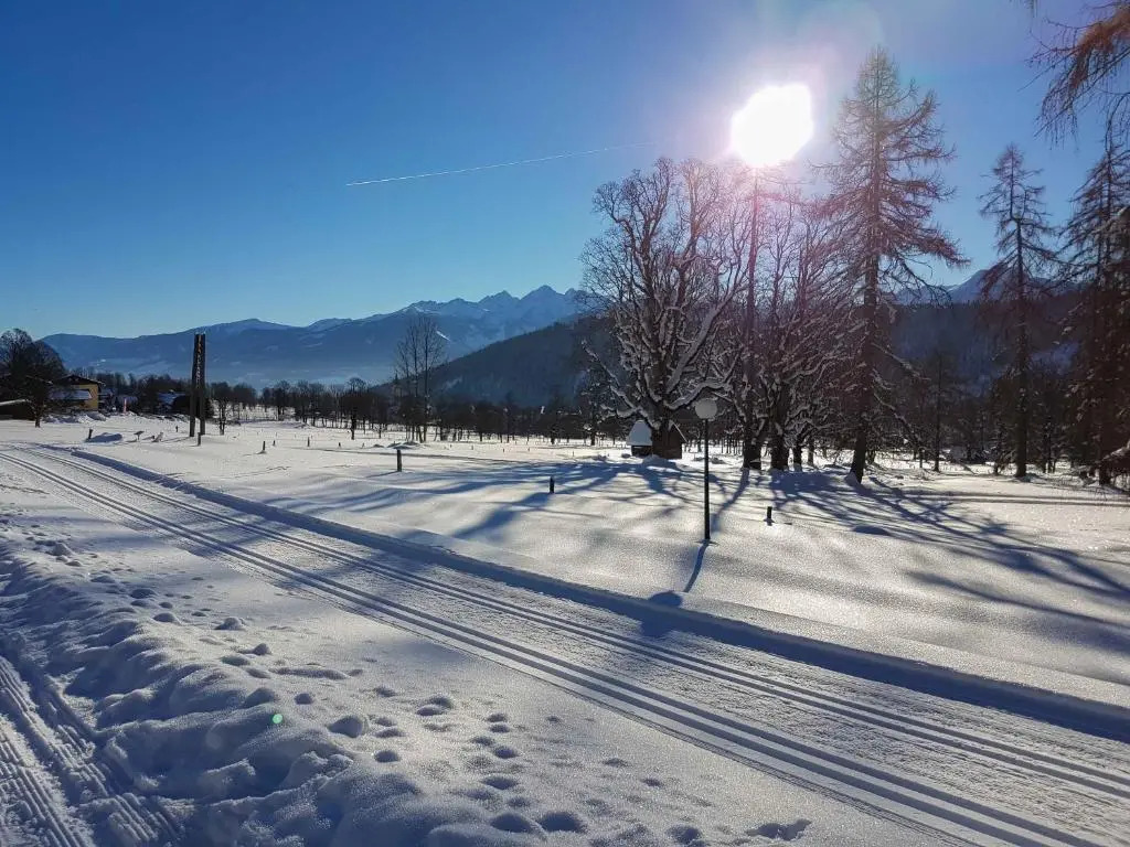 Appartementhaus Sonne