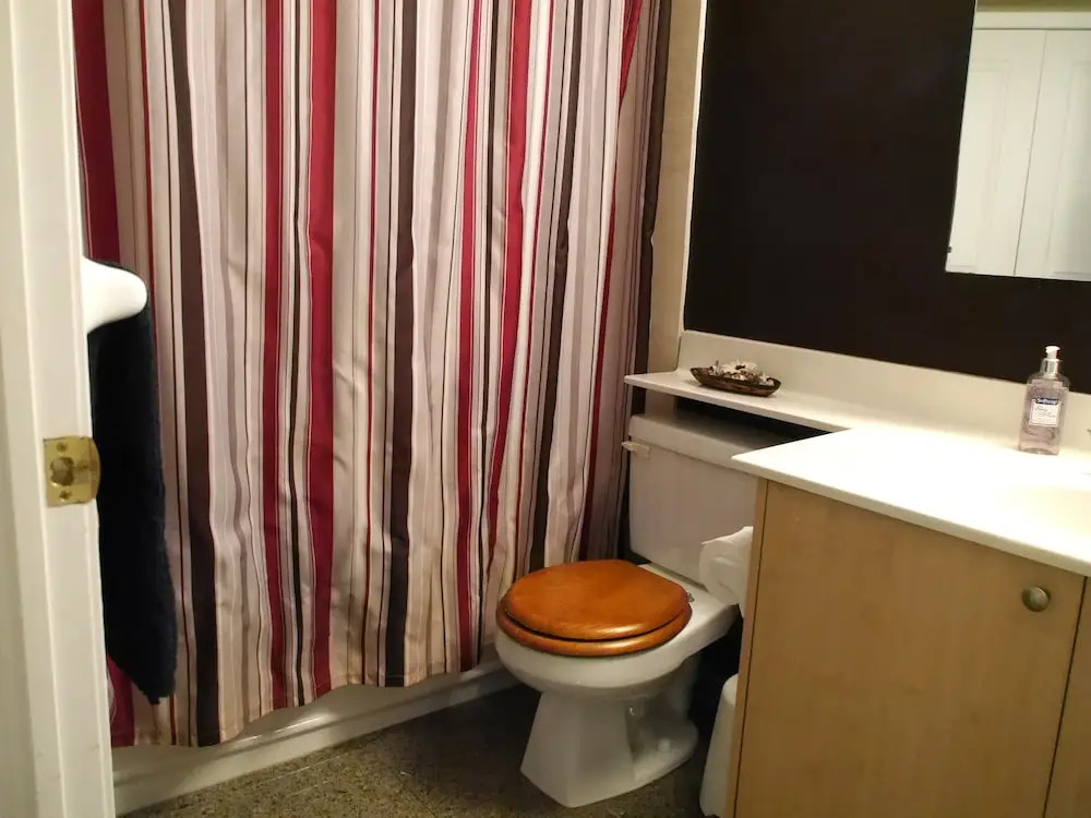 Amazing New 1BR Condo with Parking