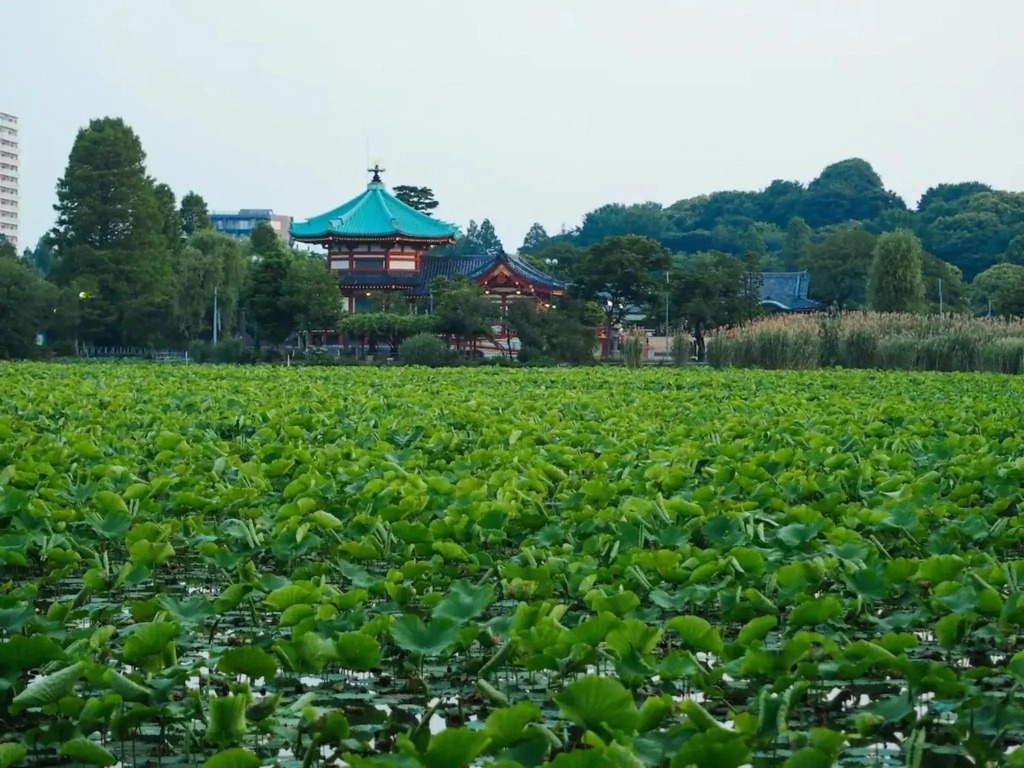 Tora Hotel Taito - Vacation STAY 53059v