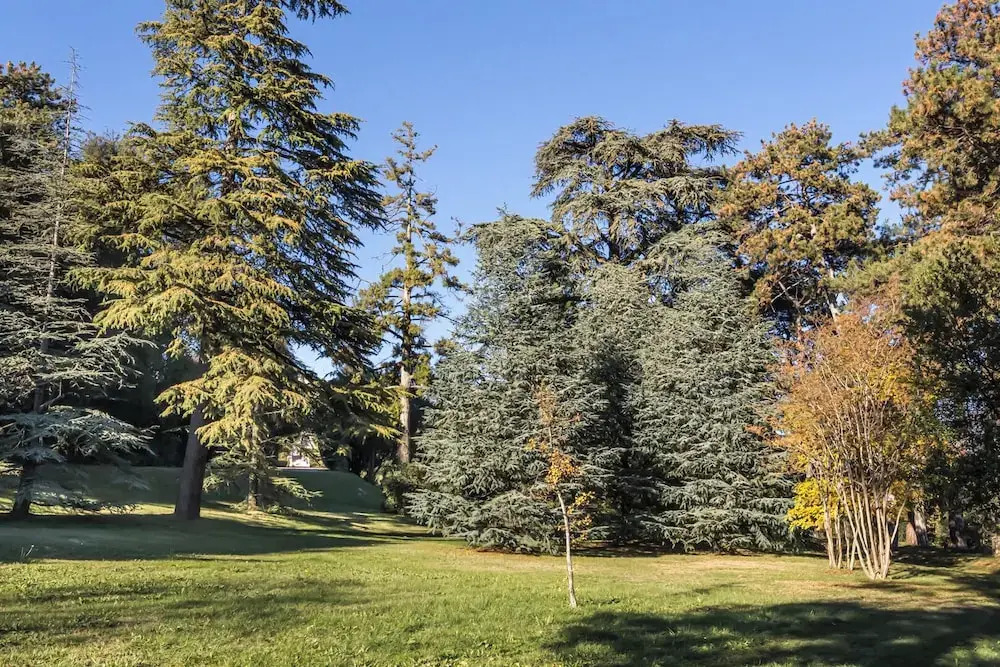 Villa Col di Luna-ProseccoHills
