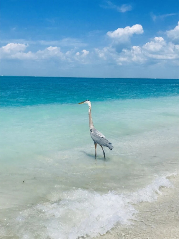 Castaway In A New Luxury Island Penthouse Overlooking Pool 2 Bedroom Condo by RedAwning