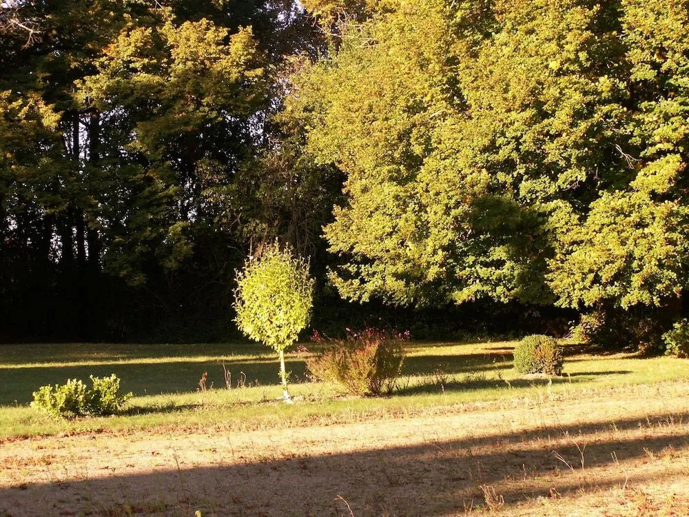 Château de la Court dAron