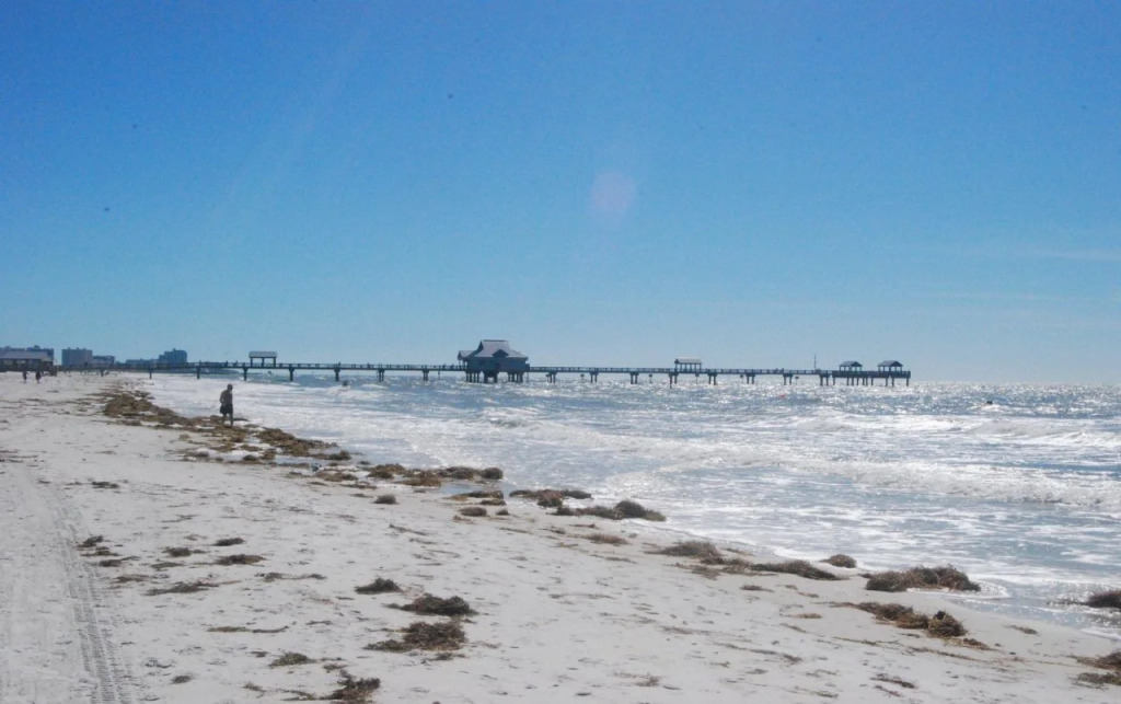 Holiday Inn Express Hotel & Suites Clearwater US 19 North by IHG