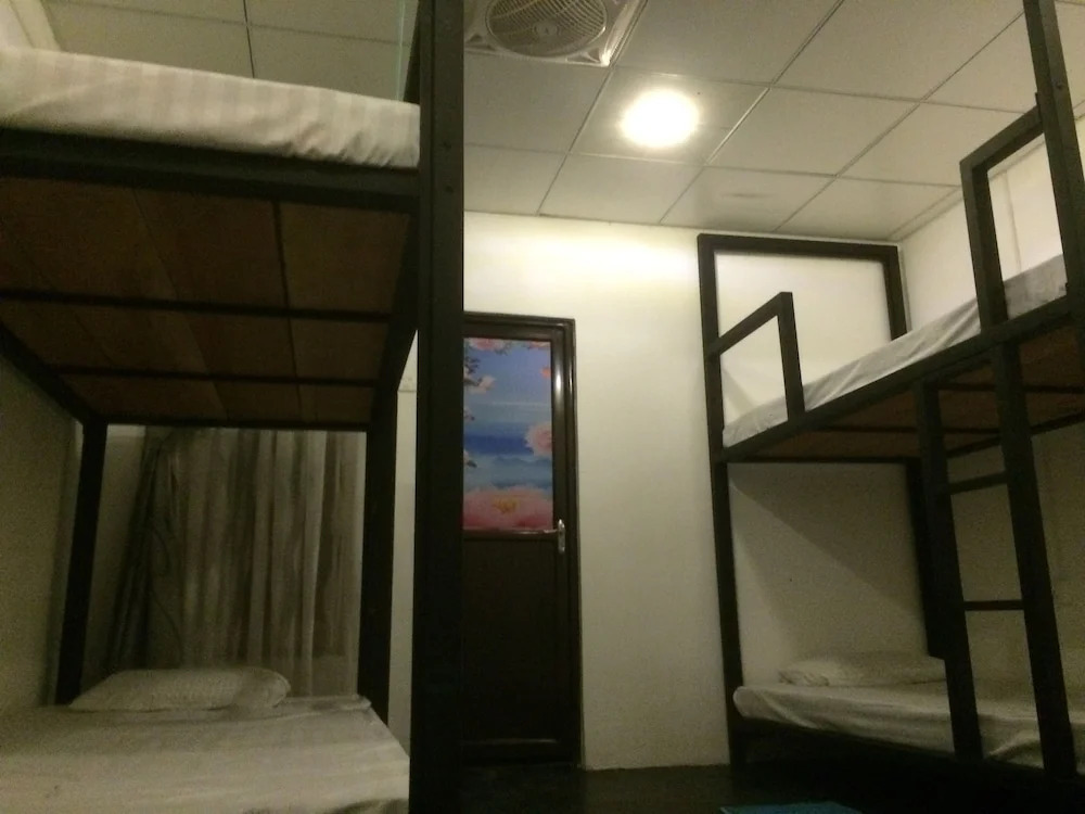 Nature Rex Hostel