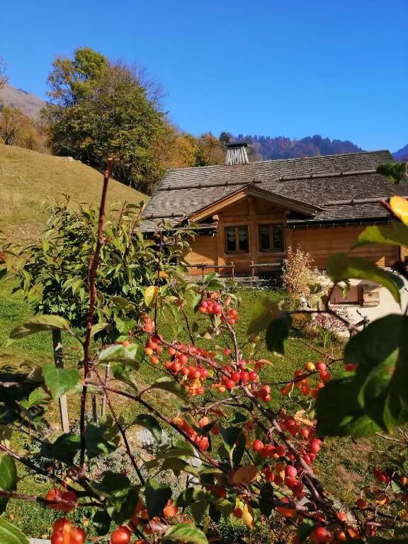 Chalet L'étale