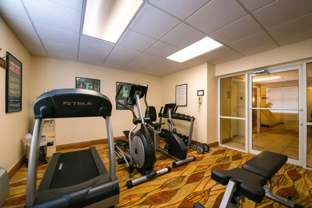 Best Western Tampa