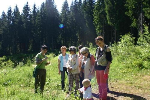 Pension & FeWos Talblick