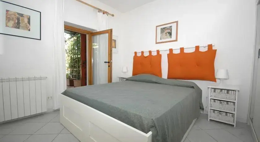 Bouganville 2