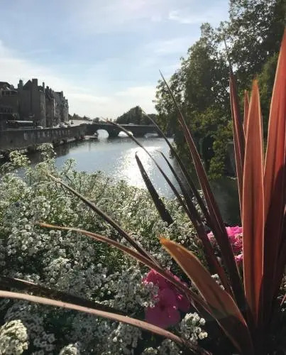Sous Les Etoiles Metz Luxembourg Cityroom57