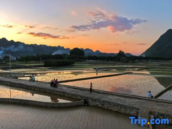 Wanfenglin Shanyin Yuefeng Homestay