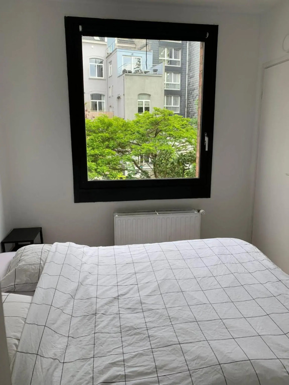 Suite minimalist 50m2
