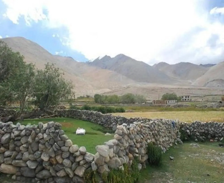 The Buddha Camp